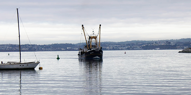 Fishing boat out at sea