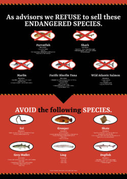 Red rated species poster 2024