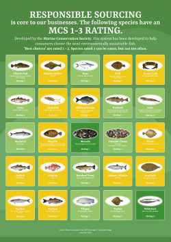 Sustainable Seafood Chart