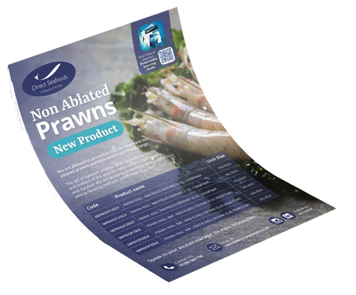 Non ablated prawns flyer
