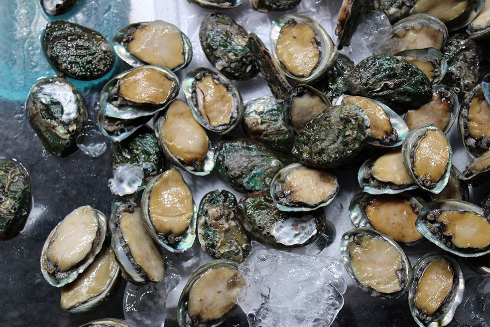Abalones on ice in a seafood market