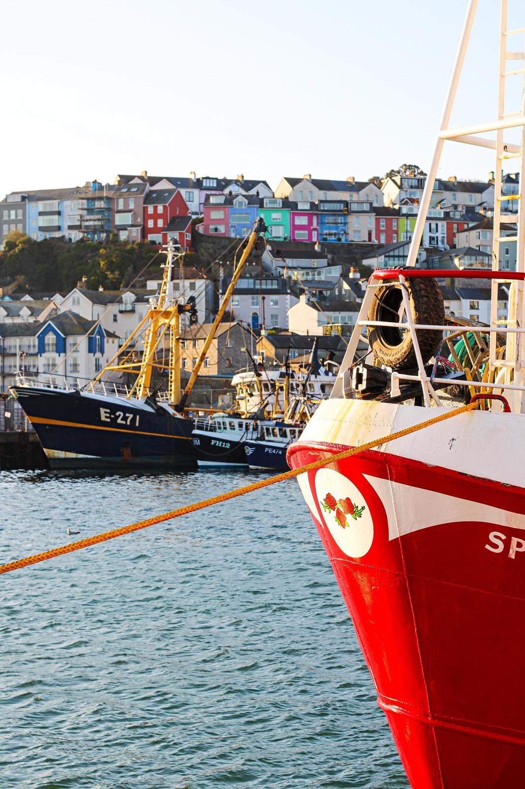 Brixham boats