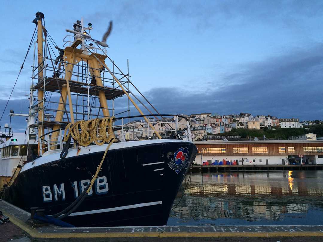 Brixham port