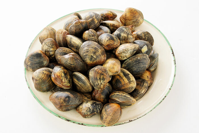 fresh uncooked clams