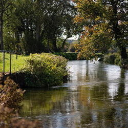  ChalkStream river and landscape