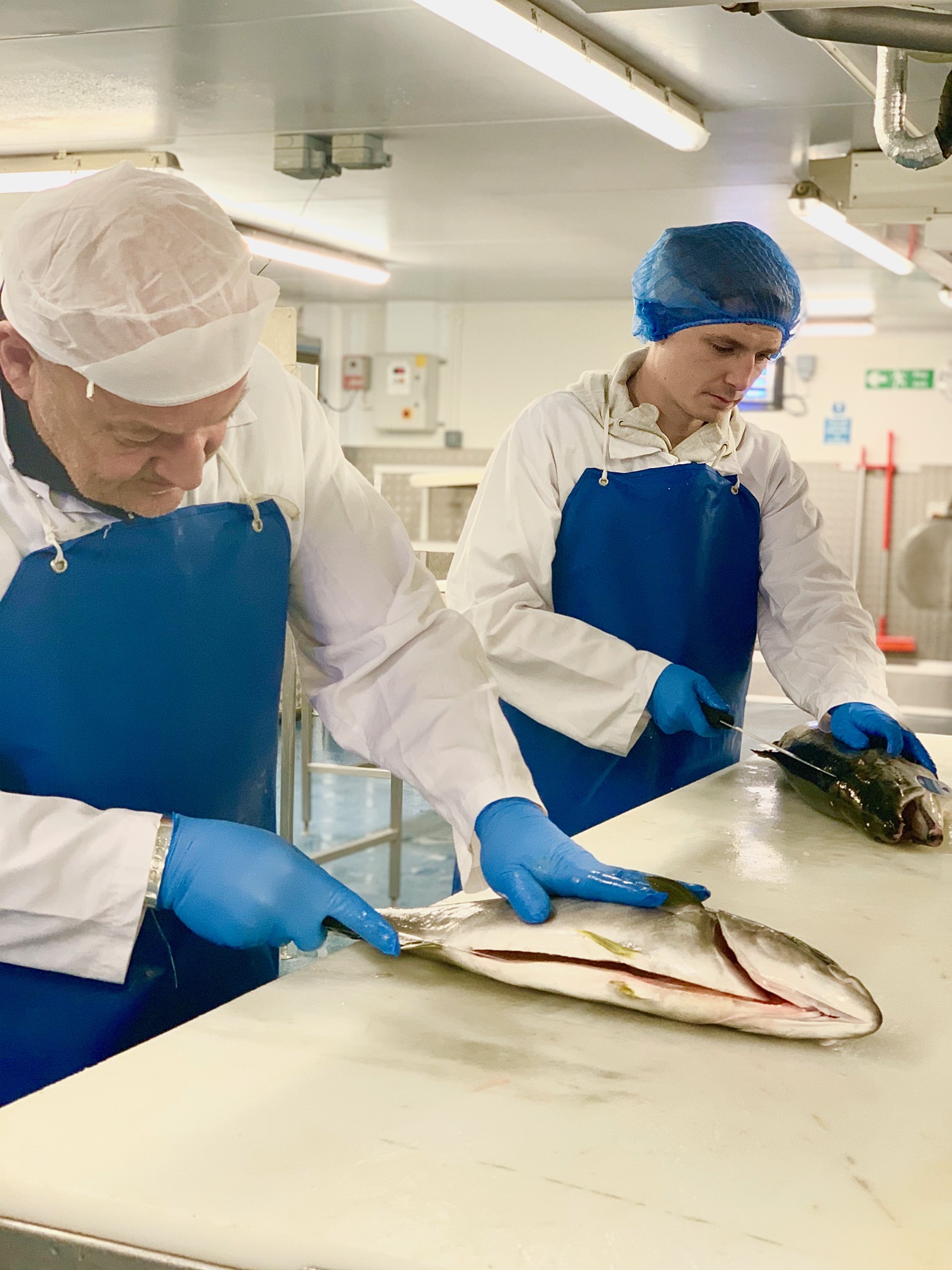 Filleters