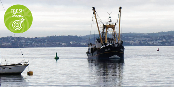 Fishing boat at sea