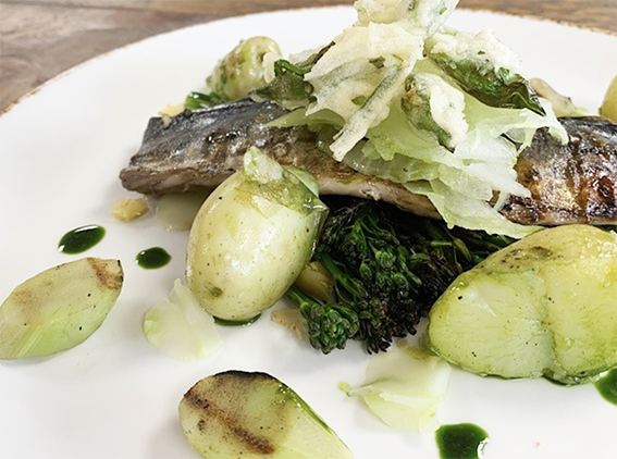 Grilled Mackerel, Sprouting Broccoli Stem & Kimchi, Jersey Royals, Fennel, Wild Garlic dish