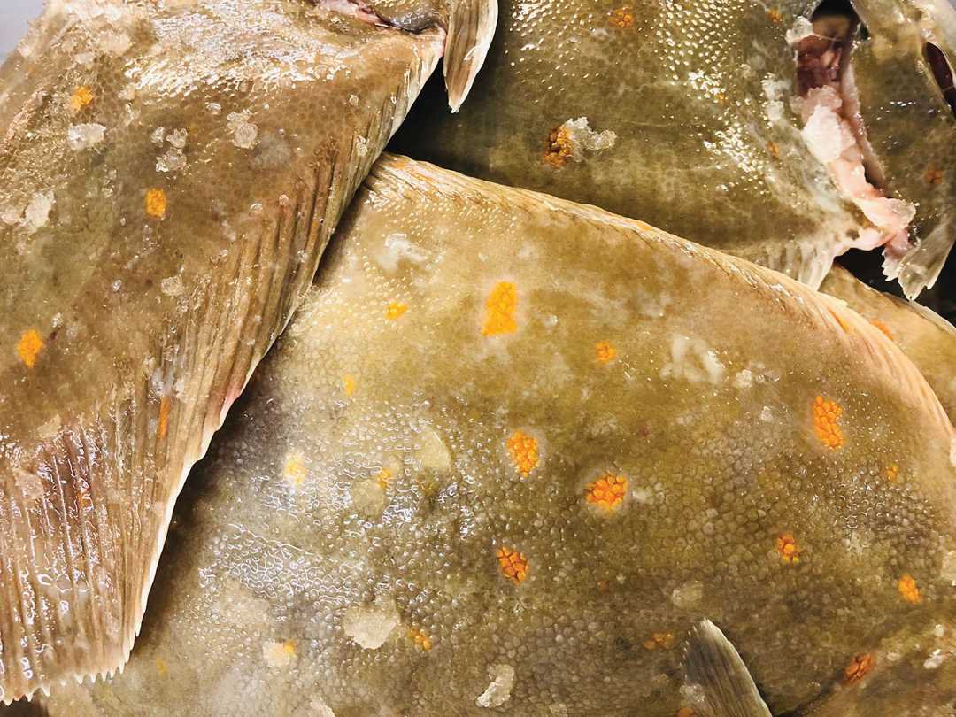 Fresh Plaice