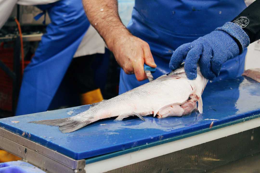Chef preparing a fish