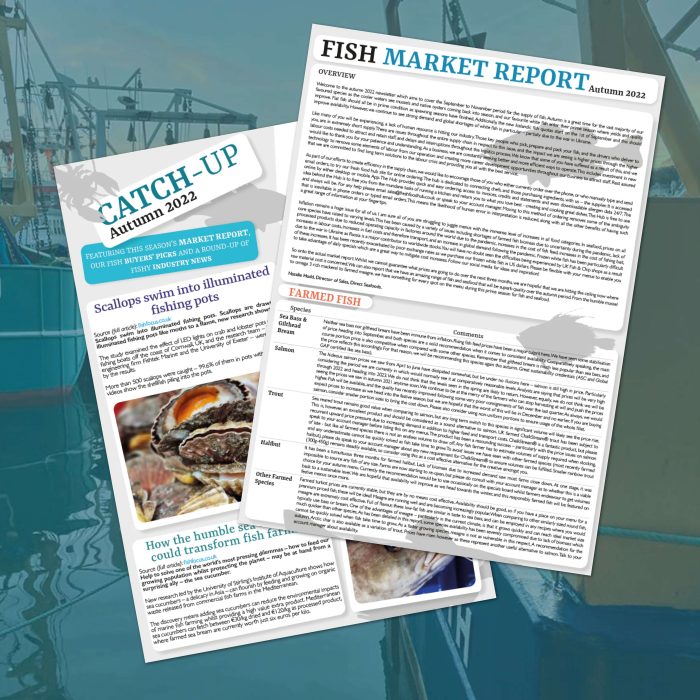 Market report preview from direct seafoods