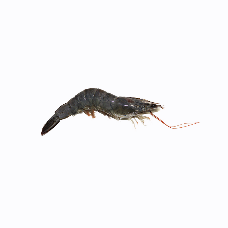King Prawns thumbnail