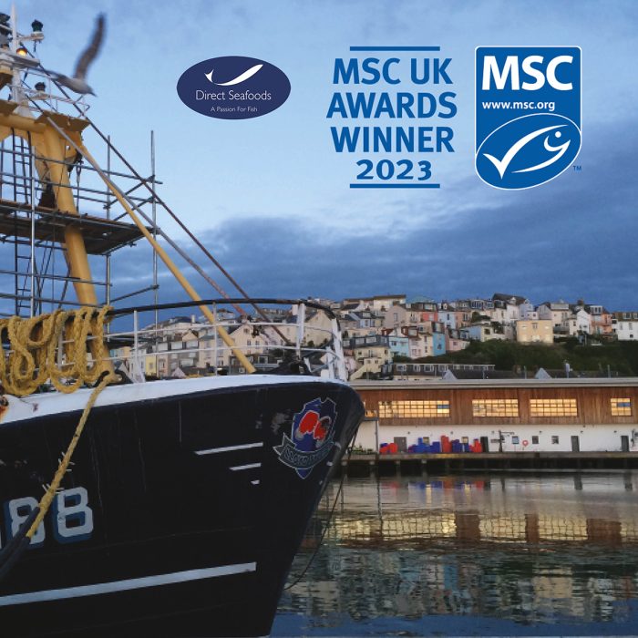 MSC Graphic - boat at port