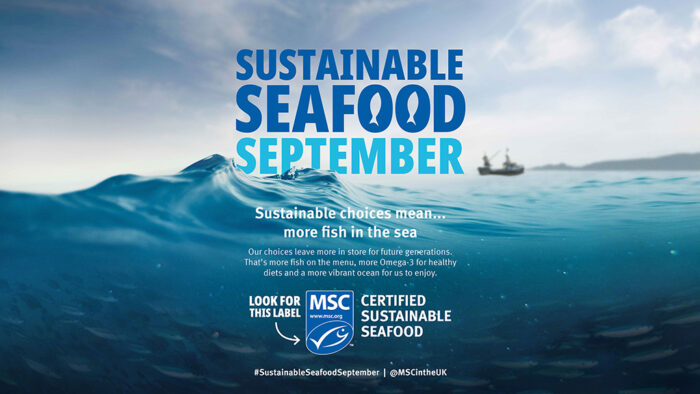 Sustainable seafood week banner
