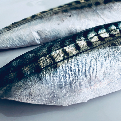 Mackerel fillets