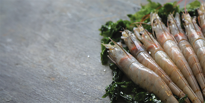 Prawns 