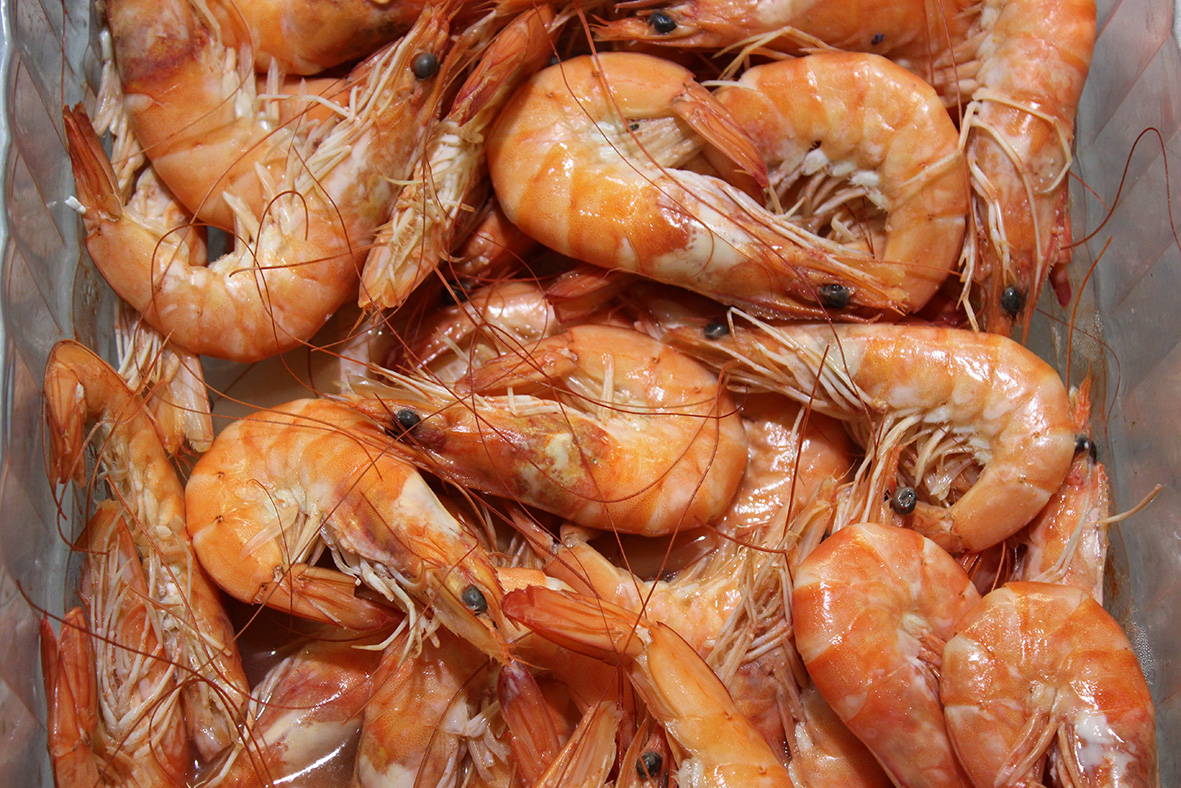 Warmwater prawns thumbnail