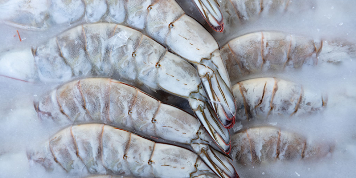 Frozen prawns