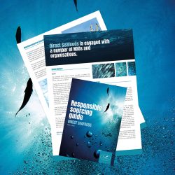 Responsible sourcing guide 2024