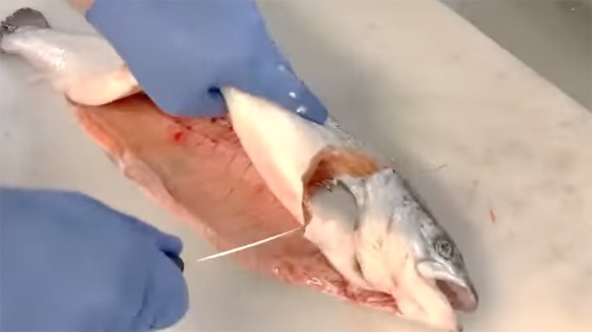 How to fillet a whole salmon