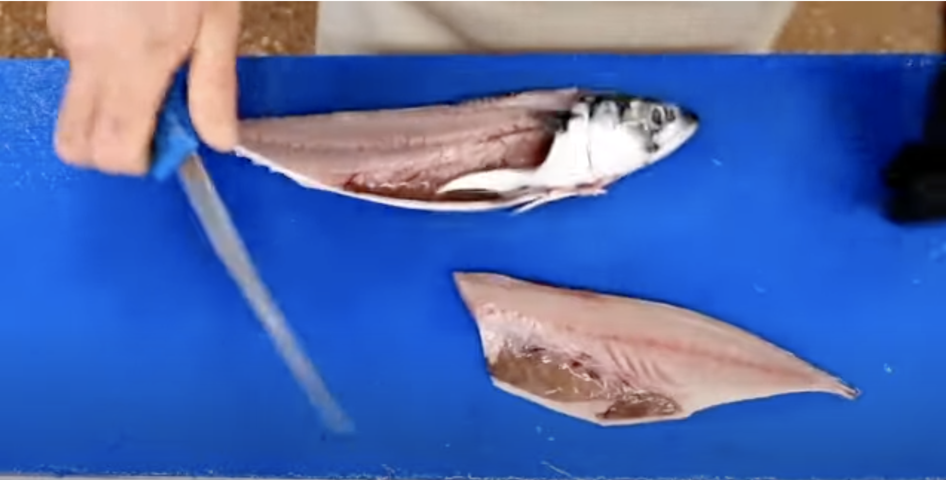 How to fillet & v-bone a mackerel