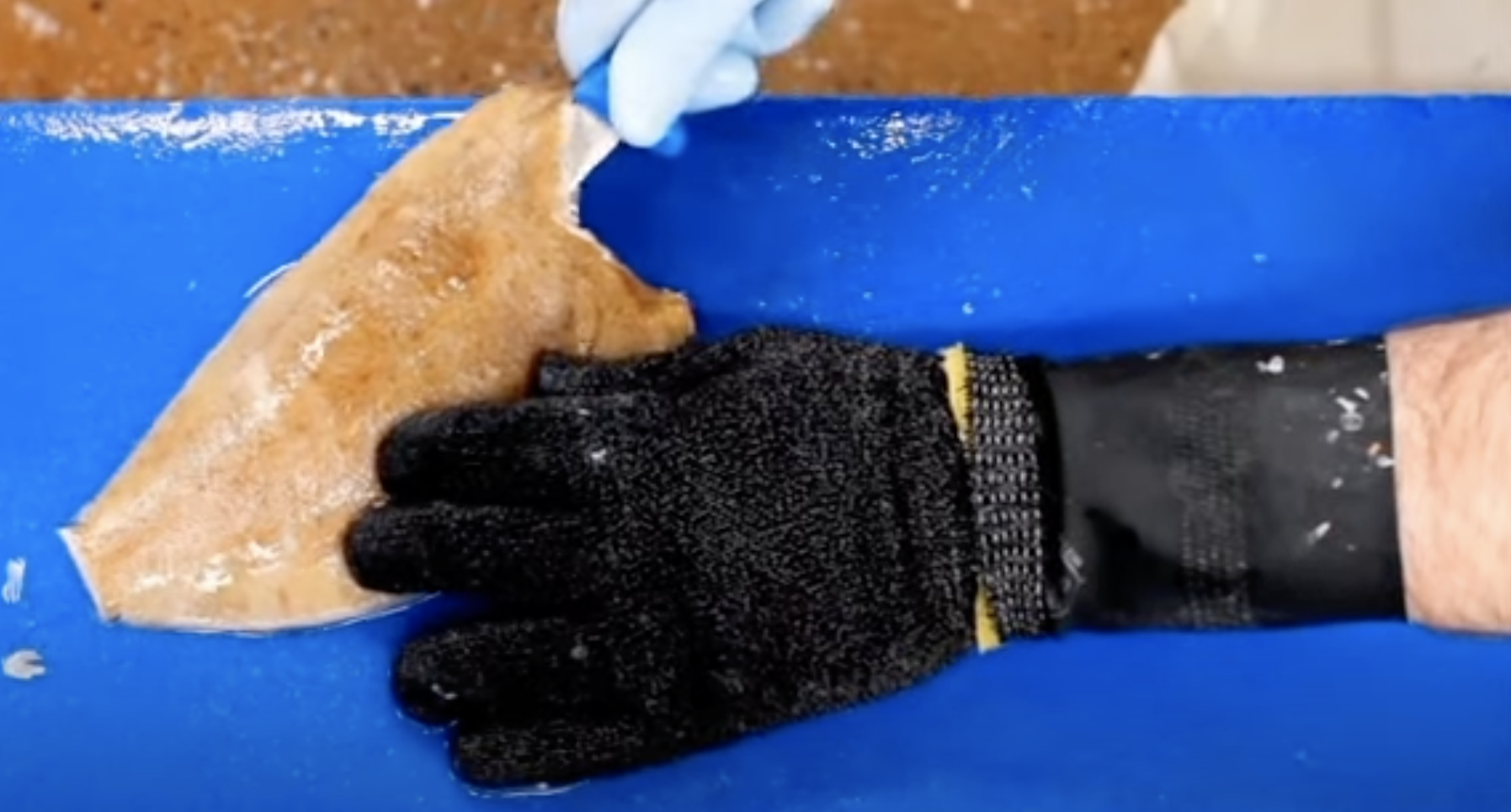 Direct Seafoods filleting tutorial: How to pocket a flat fish