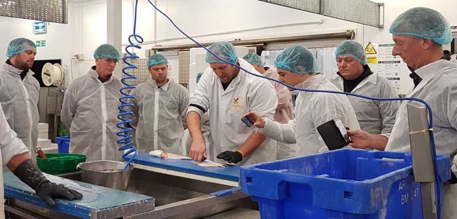 skilled fishmongers getting some training in a group