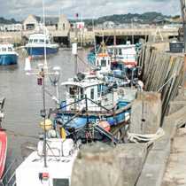 boats at the docks