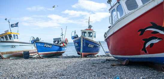 boats resting on docks