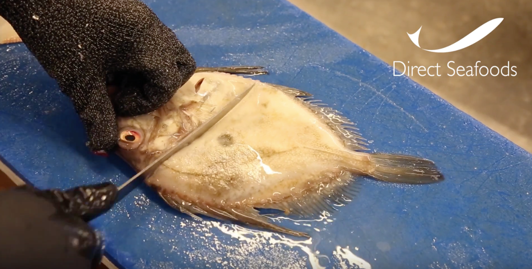 How to fillet a John Dory 