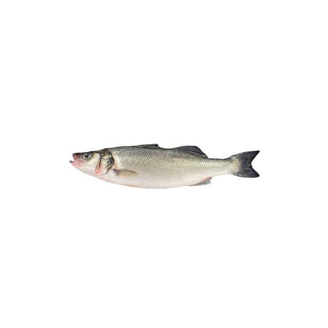 Farmed Sea Bass thumbnail