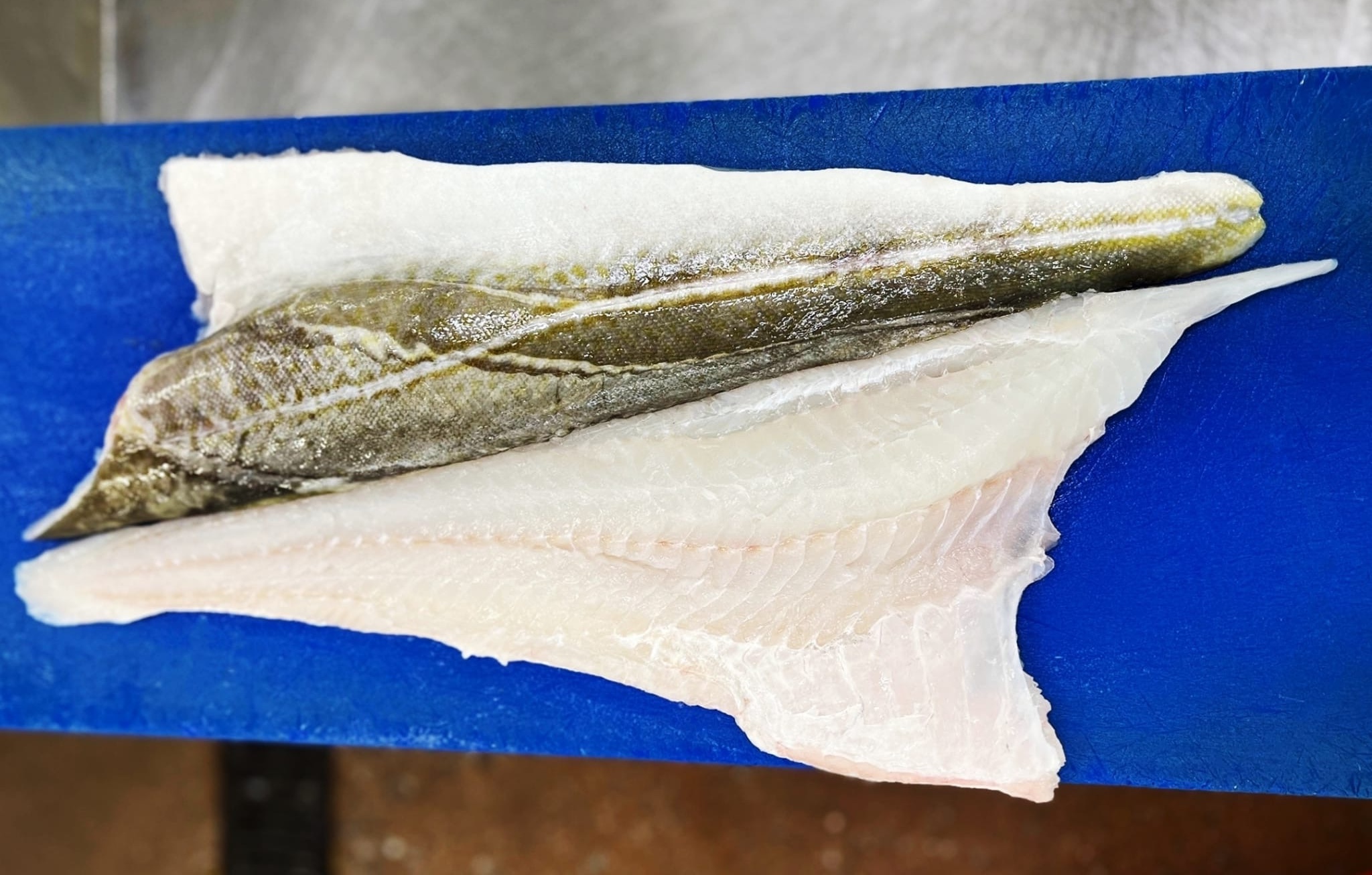 Wholesale Cod | Direct Seafoods