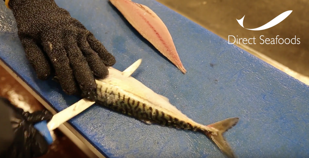 How to V-Pin a Mackerel