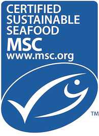 MSC logo